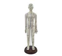 Mannequin d’acuponcture avec Base Précis, style to 2 | Stable, Modèle Corps Humain pour acuponcture, Clairs, Acupuncteurs