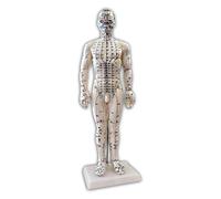 Mannequin d'acupuncture 50cm