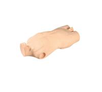 Mannequin de formation de ponction veineuse centrale/pour étudiant en infirmière étudiant l'enseignement de l'exercice
