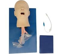 Mannequin de gestion des voies respiratoires pour simulation d'intubation et de soins trachéaux, aide à l'entraînement buccal et nasal