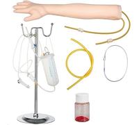 Mannequin de pratique de perfusion de bras IV, formation médicale stagiaire, modèle de bras veineux, modèle de ponction veineuse, modèle d'injection de perfusion, formation par injection intramusculai