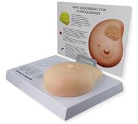 Mannequin de Sein en Silicone Souple pour l'enseignement médical, entraîneur d'auto-Examen du Sein Simple avec Simulation de Corps étranger, Anatomie pathologique réaliste