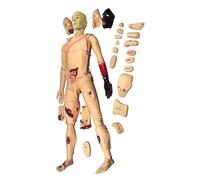 Mannequin de traumatisme complet avec modules amovibles pour l'éducation infirmière et la formation médicale