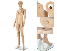 Mannequin de vitrine de couture Modèle proportions réalistes Torse