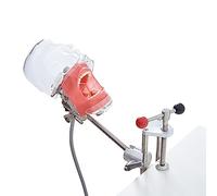 Mannequin Dentaire de tête fantôme de simulateur de Bouche, Montage Fixe sur Le Bureau réglage à 360 degrés, modèle de Dents de tête fantôme de simulateur Dentaire pour écoles