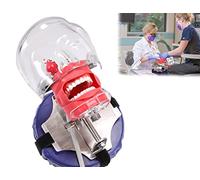 Mannequin Dentaire Simulateur De Tête Fantôme Ajustable À 360 Degrés, Modèle De Dents De Typodont Fixé Sur Chaise, Reproduction Haute Résolution À L'Échelle 1:1 Pour Les Laboratoires D'Enseignement D