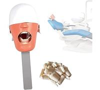 Mannequin dentaire, tête fantôme, simulation, systèmes d'enseignement dentaire, modèle de dents dentaires pour la pratique de l'enseignement et de la formation des dentistes A