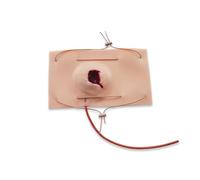 Mannequin d'entraînement professionnel aux blessures par balle (GSW) - Modèle réaliste de pansement pour le contrôle des hémorragies, la formation « Stop The Bleed » et la formation TCCC