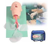 Mannequin d'intubation, modèle d'enseignement, simulation d'intubation orale, nasale et trachéale, formateur en gestion des voies respiratoires for infirmières professionnelles, formation d'urgence