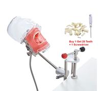 Mannequin Fantôme Simple Avec Dents Pour Dentiste,Modèle De Tête De Simulateur Dentaire,Fuchsia,Formation À La Pratique,Étude,Équipement De Dentiste - Type Dental Phantom A