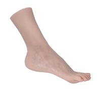 Mannequin Foot Mannequin de pied tout en os, modèle féminin, accessoires tir, fétichisme des pieds avec orteils, semelles courbées et longueur du poignet 23.5cm Affichage Art(Left Foot)
