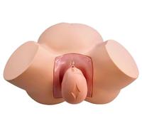 Mannequin obstétrique | Modèle de formation à l'accouchement et à l'accouchement | Simulateur de soins aux patients pour étudiantes en médecine | Modèle d'éducation infirmière | Fœtus dans le bassin