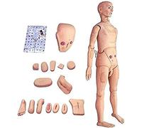 Mannequin Professionnel de Soins aux Patients Masculins et féminins, modèle Humain Grandeur Nature de 170cm pour la Formation des compétences en Soins Infirmiers des médecins