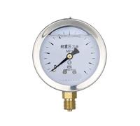 Manomètre à bain d'huile antichoc YN-60 for la mesure de la pression de l'eau, montage radial, filetage M14*1,5.(0-1.6MPA)