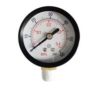 Manomètre de rechange 0-60 PSI pour filtre de piscine Select Sand & D.E. ECX270861