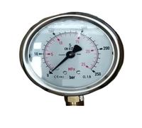 Manomètre EN837-1 en Acier Inoxydable, manomètre à Vide à Pression négative MPA (Radial 0,6 MPa 6 kg)(Radial 25mpa 250kg)