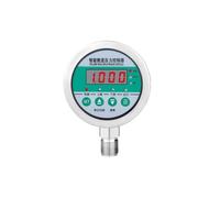 Manomètre numérique 80mm 24V, contrôle en acier inoxydable, pressostat de compresseur d'huile à pression en ligne et hors ligne(NPT1-2 Bottom,0-0.25MPa)
