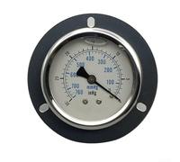 Manomètre sismique à bord axial YN60ZT pour une efficacité industrielle, fournit des lectures précises et de haute fiabilité (0-600 kg)