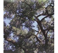 Manson, Charles - Trees (Green) [Import]