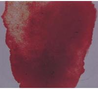 Manta Ray - Take a Look [Import]