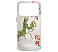 Mante Religieuse à Sept étoiles Shaolin Kung Fu Coque pour iPhone 17 Pro