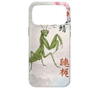 Mante Religieuse à Sept étoiles Shaolin Kung Fu Coque pour iPhone 17 Pro Max