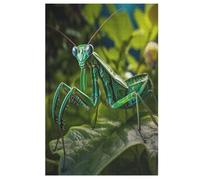 Mante Religieuse Puzzle Adulte 1000 Pièces Artisanat Cadeau Famille Puzzles Jouet en Bois Cadeau Unique Décoration Intérieure （78×53cm）