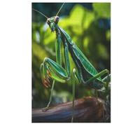 Mante Religieuse Puzzles De 1000 Pièces pour Adultes Et Enfants Puzzle Impossible Jouets en Bois Jeu Stimulant 78×53cm