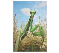 Mante Religieuse Puzzles en Bois Adultes Et Adolescents 1000 Pieces Enfants Puzzle Décoration Mur Moderne Art Jouets Cadeau Intéressants （78×53cm）