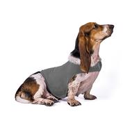 Manteau anti-anxiété pour chien, confortable et respirant pour petit chien, écharpe réglable pour orage, voyage, feux d'artifice et séparation (gris foncé, taille L)