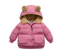 Manteau BéBé Fille Enfants Mignon Mode Automne Hiver Manteau Doudoune Capuche Fourrure VêTements Chauds éPais Coat Enfants Pour 6 Mois-5 Ans (2-3 Years)