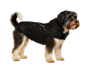 Manteau Chien - Sergio Noir - A:35cm B:34-38cm C:50-54cm - Similicuir - Lavable à 30°C - Imperméable - Flamingo