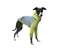 Manteau d'hiver à Capuche for lévrier Italien, Sweat-Shirt Bicolore Bleu et Vert for Whippet, Combinaison à Manches Longues for Bedlington Terrier.(1 UK)