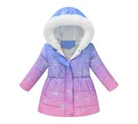 Manteau d'hiver à Capuche pour Tout-Petits garçons et Filles, Veste épaisse Coupe-Vent avec Fermeture éclair, vêtements d'extérieur Chauds (2-3 Years)