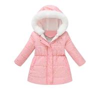 Manteau d'hiver à Capuche pour Tout-Petits garçons et Filles, Veste épaisse Coupe-Vent avec Fermeture éclair, vêtements d'extérieur Chauds (2-3 Years)