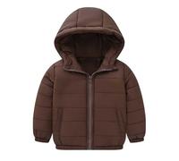 Manteau d'hiver à Capuche pour Tout-Petits garçons et Filles, Veste épaisse, Coupe-Vent, Fermeture éclair, vêtements d'extérieur Chauds (Coffee, 3-4 Years)