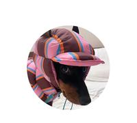 Manteau d'hiver chaud arc-en-ciel pour chien, veste en coton pour chiens de petite et moyenne taille, vêtement de Noël coloré pour animal de compagnie avec bandes réfléchissantes (juste un chapeau