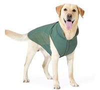 Manteau d'hiver Chaud pour Chien, Design À Col Haut, Polaire Réfléchissante Et Imperméable, Veste Bouledogue Labrador Greyhound avec Trou pour Laisse,Vert,XL