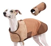 Manteau d'hiver coupe-vent pour chien par temps froid - Habit de neige coupe-vent pour chiens de petite, moyenne et grande taille - Intérieur et extérieur