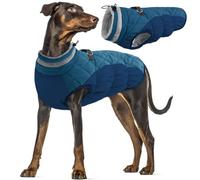 Manteau d'hiver Imperméable pour Chien, Veste Réglable Vêtements Chaud Chiot Gilet Réfléchissant Combinaison de Ski avec Doublure en Polaire pour Petit Moyen Grand Chien(Vert Foncé, 2XL)