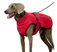 Manteau d'hiver pour chien réfléchissant chaud avec col haut pour la marche, la course, le ski, le pique-nique, les promenades en ville et les visites au parc