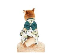 Manteau fin pour chat et chien Kimono d'été pour chats et chiens Imprimé mignon avec nœud papillon Sphynx Vêtements Tenue (couleur : vert, taille : 4-costume 4-6 kg)