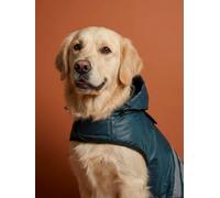 VERTBAUDET Manteau imperméable pour Chien Bleu Ardoise M