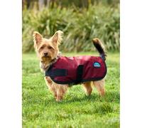 Manteau pour chien impérméable Weatherbeeta Comfitec Classic Rouge 55 cm