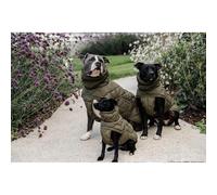 Kentucky Winter Pina Dog Jacket Vert 32-38 cm