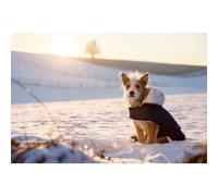 Manteau pour chien - KERBL - Teddy - Imperméable - Doublure en Teddy - Réfléchissant