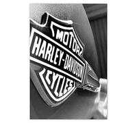 Mantiburi H1976 Sticker mural Motif logo Harley Davidson 80 x 120 cm