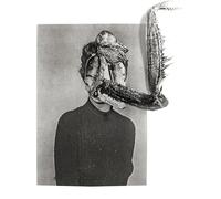 Mantiis : An Agony In Fourteen Bites