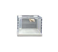 Mantis Boîte d'alimentation en acrylique transparent pour mangeoire à insectes pour aménagement paysager (S : 9,5 cm x 7,5 cm x 7,5 cm)