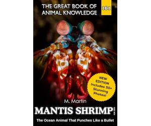 Mantis Shrimp for Kids: The Ocean Animal That Punches Like a Bullet